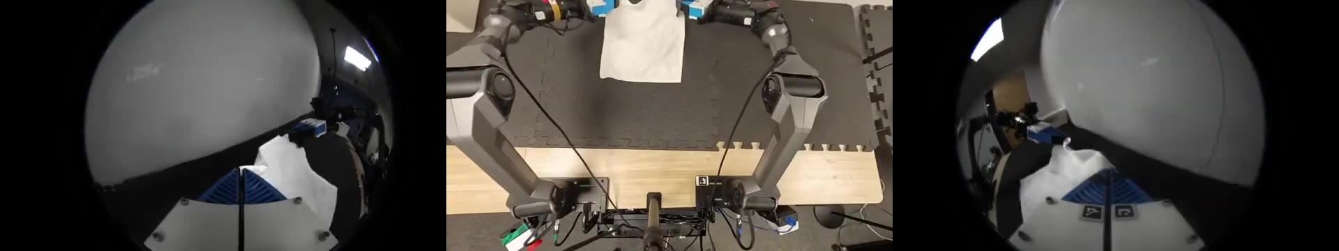 Three-view PIKA teleoperation capture